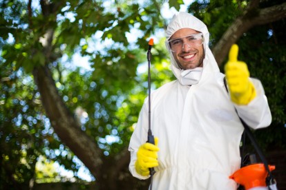 Pest Control in Hampton, KT8. Call Now 020 8166 9746
