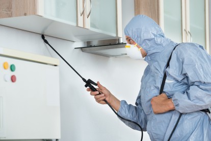 Home Pest Control, Pest Control in Hampton, KT8. Call Now 020 8166 9746